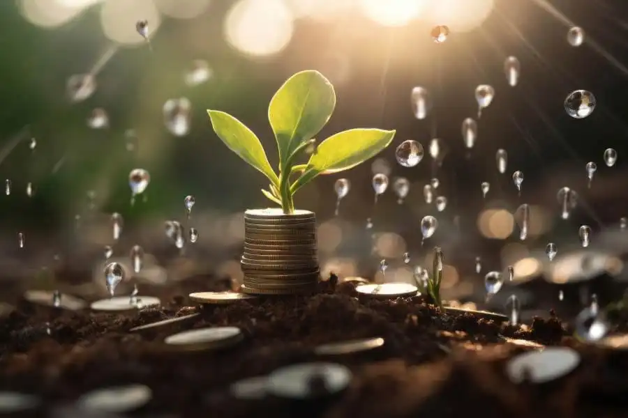 Growing plant on stacked coins symbolizing steady growth through fixed income investments.